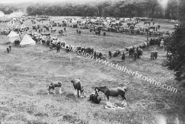 SHOW AT BRIDGEND : GENERAL VIEW